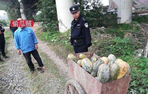 广宗吃瓜事件真相揭秘视频,揭秘背后真相与争议