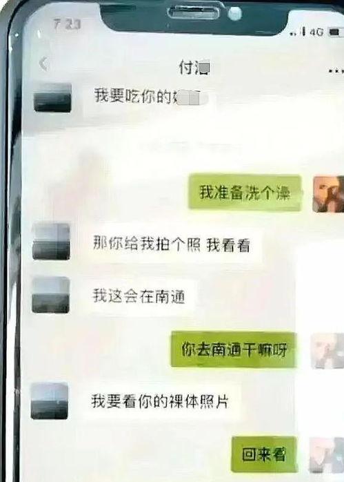 吃瓜聊天记录及视频截图,一场网络热议背后的真相