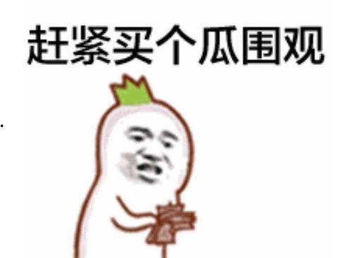 阿艳吃瓜群众是谁啊视频,网络红人的崛起之路