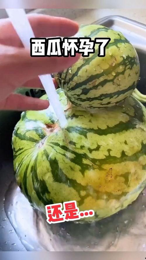 越南搞笑吃瓜视频,笑料百出，网友直呼“太解压”