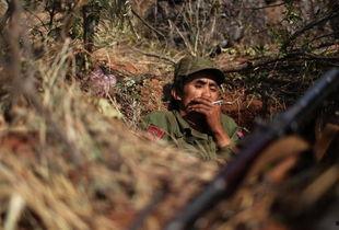 吃瓜缅北小黑屋视频,吃瓜群众视角下的真实囚禁生活