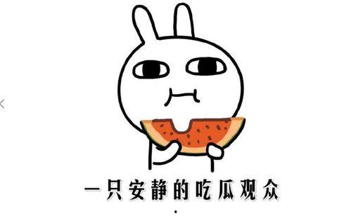 抖音吃瓜不吃鳖视频下载,揭秘“吃瓜不吃鳖”视频背后的下载攻略