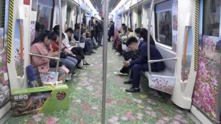 郑州地铁吃瓜视频,一场意外引发的全民热议