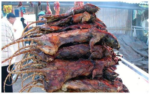 大瓜吃鸵鸟肉视频下载,一场视觉盛宴的揭秘之旅