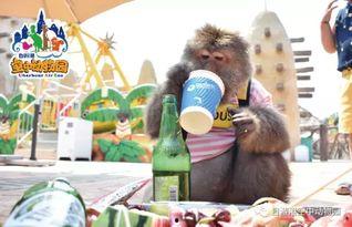 小香猪吃瓜的视频,萌态十足引网友爆笑