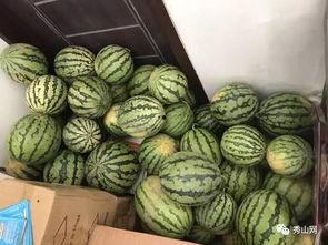 吃瓜活动视频,一场吃瓜活动视频的精彩回顾