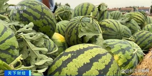 传播网上吃瓜视频判几年