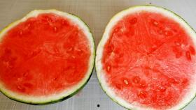 邳州靓仔吃瓜视频下载,下载热潮席卷网络