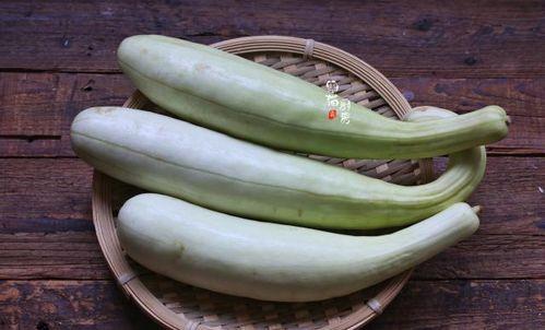 美国邻居吃瓜视频大全