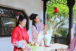 沈阳汉服吃瓜事件视频,一场网络争议的发酵与反思