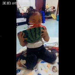 老干爹搞笑视频带你吃瓜,带你笑中带“瓜”，揭秘网络笑料背后的故事