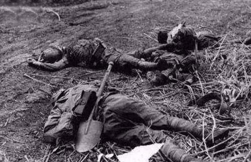 三山岛吃瓜事件真相视频,真相视频曝光背后的惊人内幕