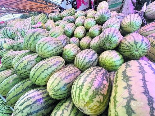 王瓜尖怎么吃才好吃视频,视频教你轻松烹饪佳肴