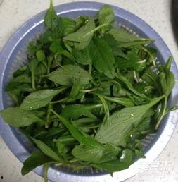 王瓜尖怎么吃才好吃视频,视频教你轻松烹饪佳肴