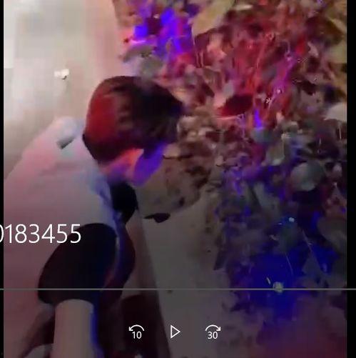 默默吃瓜的视频,揭秘网络视频背后的趣味与真相