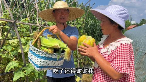 山东二哥吃瓜视频大全,揭秘娱乐圈幕后故事