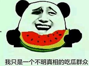 双鱼吃瓜群众视频,揭秘娱乐圈幕后真相