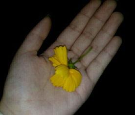 老年吃瓜群众视频素材,老年群体趣味生活剪影