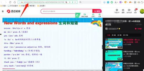 吃瓜互粉的视频素材下载,揭秘网红圈幕后互动