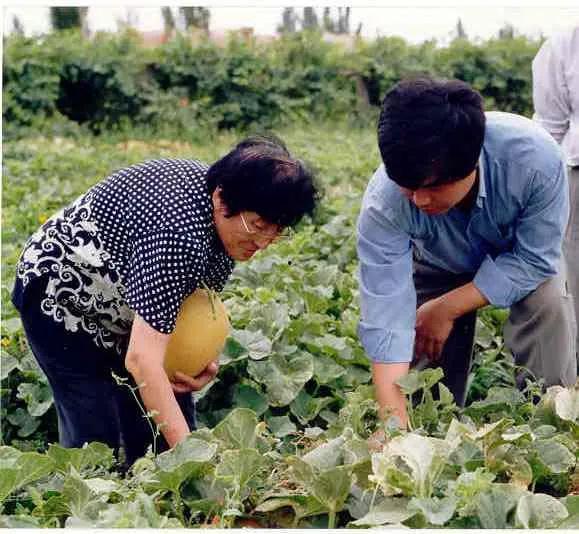 南交院吃瓜视频,校园生活趣味瞬间大揭秘