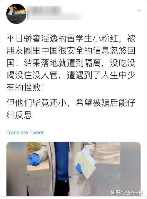 苏州教师吃瓜事件始末视频,一场网络风波的始末揭秘
