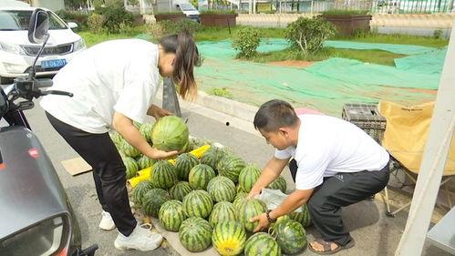 两个吃瓜的视频,两大热门吃瓜视频深度解析