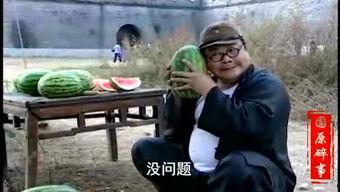 回村吃瓜老人视频,回村老人吃瓜视频，揭秘农村生活点滴