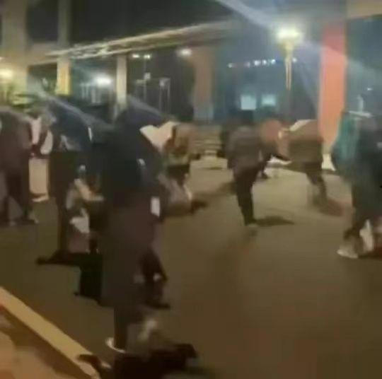 四川高校吃瓜事件视频,一场校园网络热议的真相揭秘