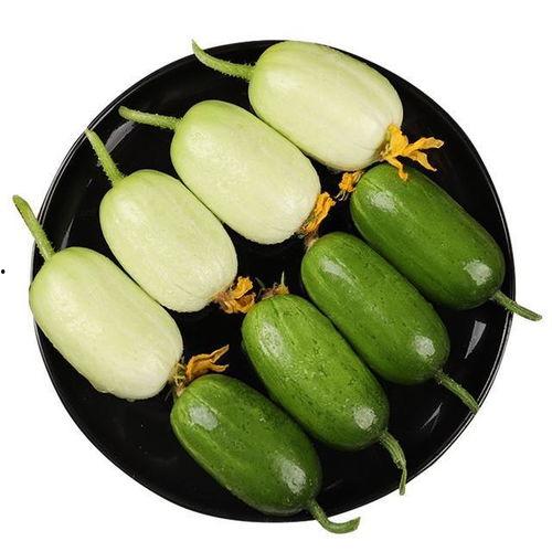 三彩瓜怎么吃最好吃视频,视频教你如何吃出最佳口感