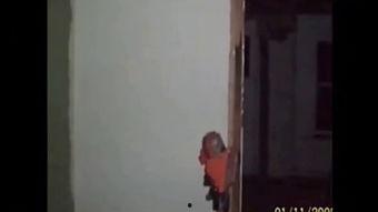 诡异事件吃瓜视频大全,吃瓜视频大全背后的惊悚真相