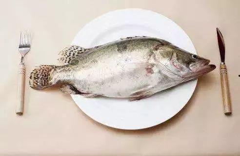 认真吃瓜的老鱼视频,揭秘娱乐圈那些不为人知的幕后故事