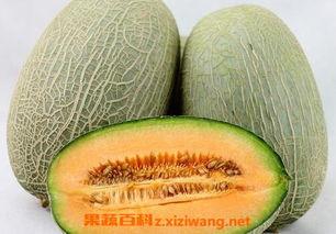 吃哈密瓜蘸酱好吗视频大全