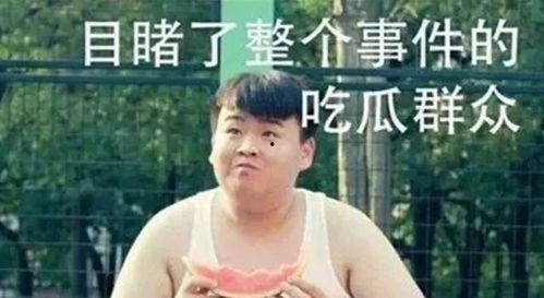 吃瓜最好笑视频,笑料横生！盘点那些让人捧腹大笑的吃瓜视频