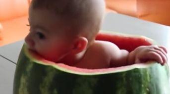 宝宝吃瓜视频大全集