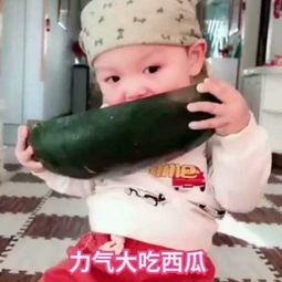 宝宝吃瓜视频大全集