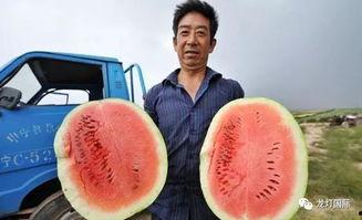 一些吃瓜视频去哪里找到