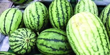 一些吃瓜视频去哪里找到