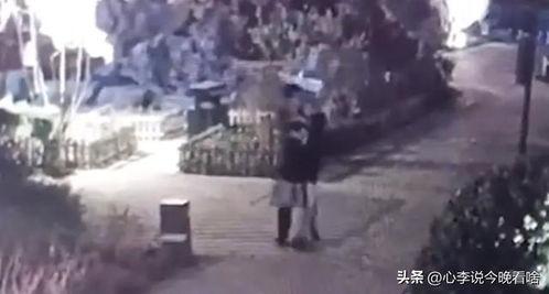 大悟吃瓜事件视频完整版,揭秘视频完整版背后的真相与争议