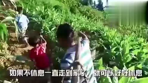 大悟吃瓜事件视频完整版,揭秘视频完整版背后的真相与争议