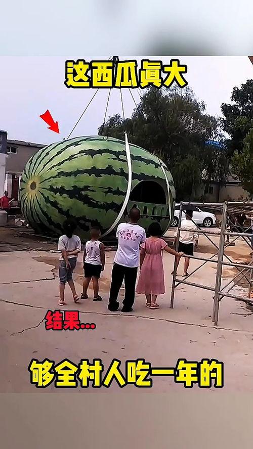 吃瓜人真搞笑视频