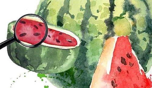 一年吃瓜总结视频,盘点那些让人笑到肚子疼的瓜事