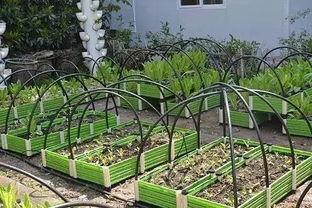 寿光天台顶楼吃瓜视频