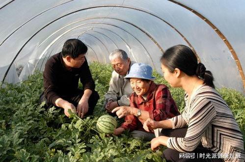 中国边境大妈吃瓜视频,揭秘中国边境风情