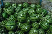 保定七中吃瓜视频,揭秘校园生活趣味瞬间