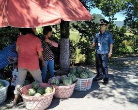 吃瓜群众大户人家视频播放,揭秘视频播放背后的热门现象