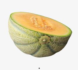 免费吃哈密瓜视频,视频带你领略甜蜜滋味