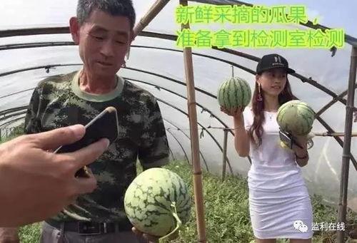 吃瓜群众视频直播,揭秘吃瓜群众视频直播背后的故事