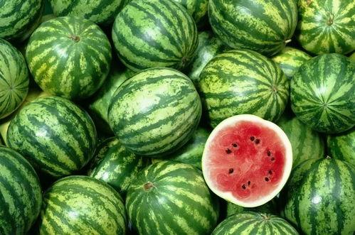 打工人背锅吃瓜视频下载,揭秘职场生存法则