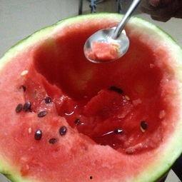 吃瓜大赛视频素材,吃瓜大赛精彩瞬间大盘点