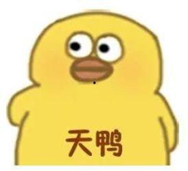 吃瓜无语视频素材,揭秘网络视频素材背后的趣味与槽点